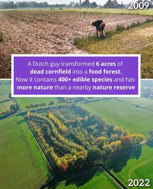 Does anyone know where this food forest is?