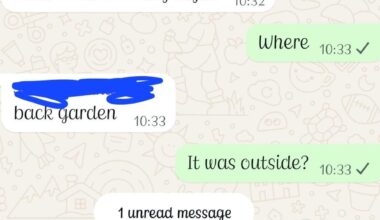 My brother has discover a HUGE mouse problem