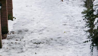 Bambino di 11 anni lasciato a piedi sotto la neve per mancato adeguamento al nuovo biglietto bus a Belluno. La Provincia correrà ai ripari con rimborsi