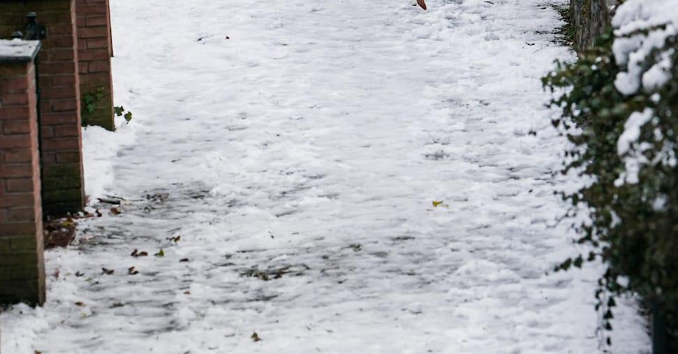 Bambino di 11 anni lasciato a piedi sotto la neve per mancato adeguamento al nuovo biglietto bus a Belluno. La Provincia correrà ai ripari con rimborsi