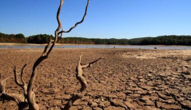 Ο πλανήτης βρίσκεται σε «υδατική χρεοκοπία», προειδοποιεί ο ΟΗΕ: Ο κόσμος έχει υποστεί «ανεπανόρθωτη βλάβη» στα αποθέματα νερού και οι επιπτώσεις απειλούν δισεκατομμύρια ανθρώπους, προειδοποιεί νέα έκθεση για την υδατική χρεοκοπία