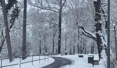 When you asked for a snowy Christmas, but shipping was delayed by a month