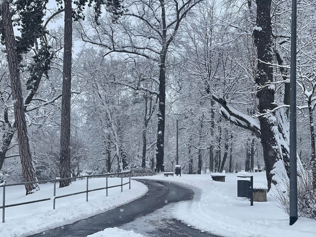 When you asked for a snowy Christmas, but shipping was delayed by a month