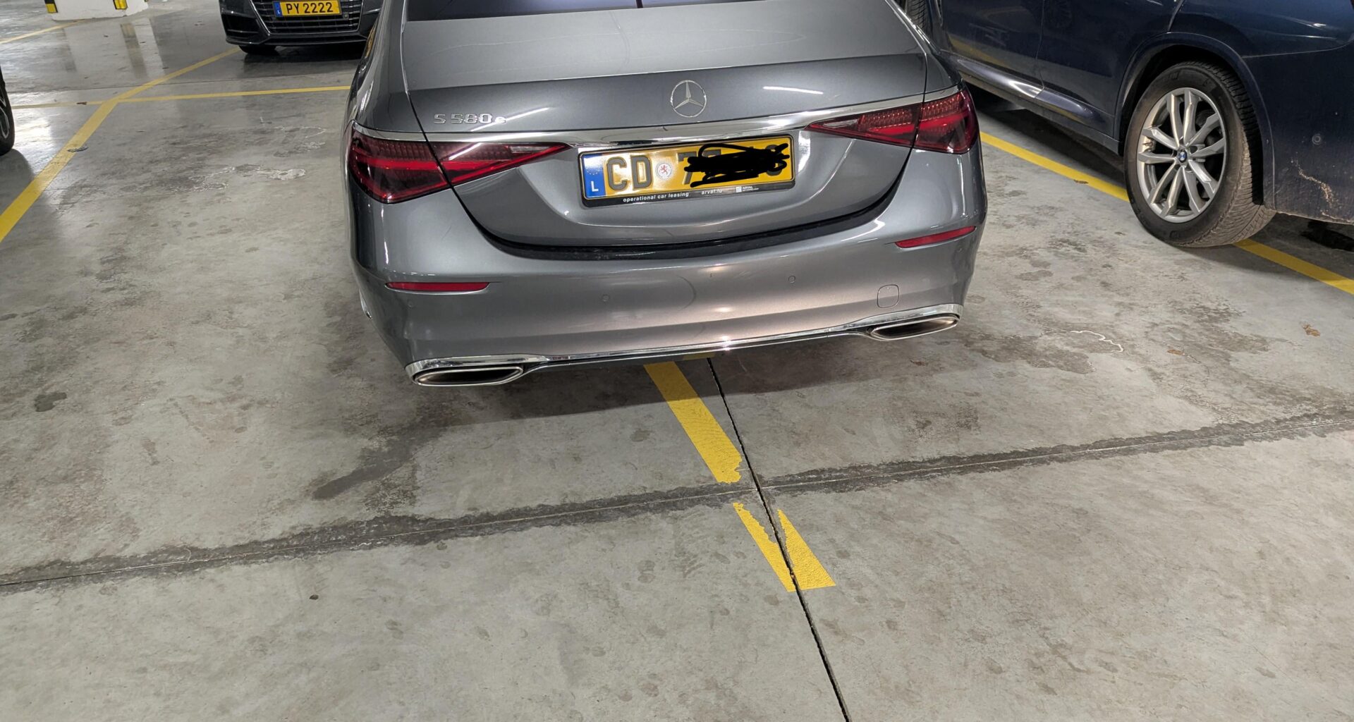 All animals are equal, but some animals are more equal than others