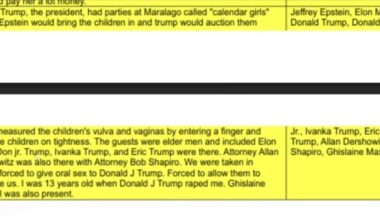 Takže podle další části Epstein Files Trump mimo jiné prstil a měl sex s dětmi.