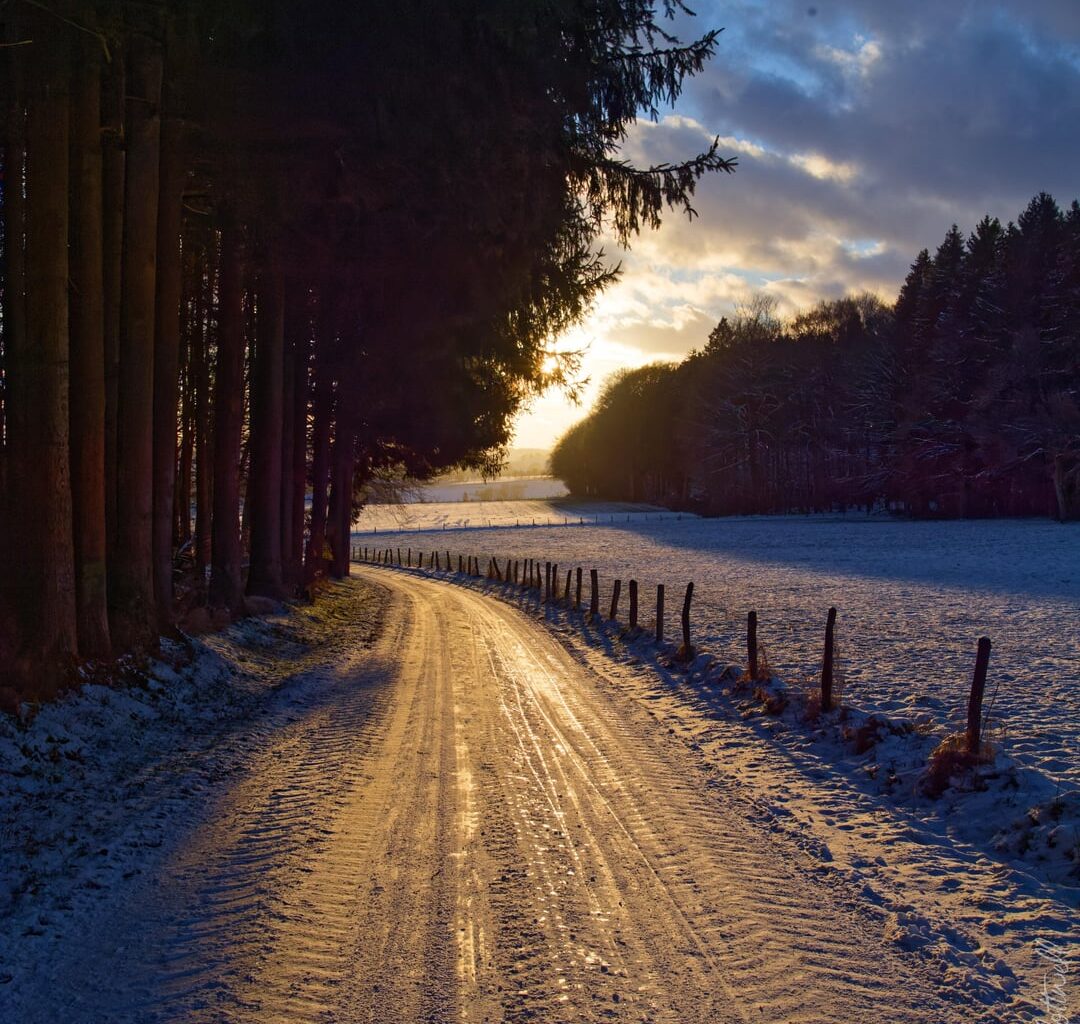 Low winter sun in the Icelek