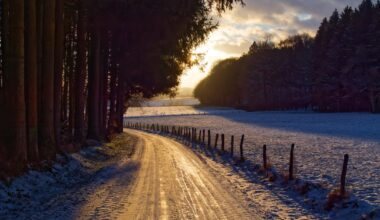 Low winter sun in the Icelek