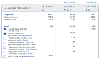 E-Control Stromvergleich rechnet mit 10 statt 12 Monaten?