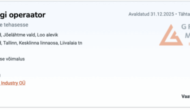 Innovatiivsus tööturul