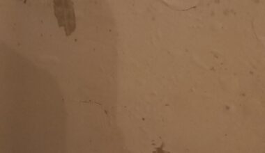 How to fix this wall paint?