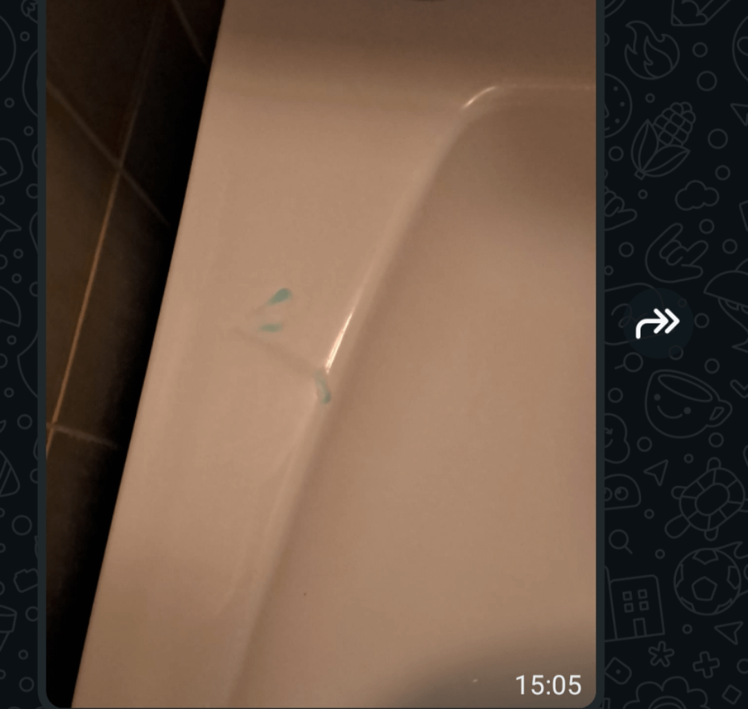 Switzerland, Is this kind of message from a landlord/manager normal or excessive?