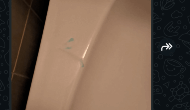 Switzerland, Is this kind of message from a landlord/manager normal or excessive?