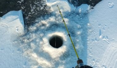 This was an amazing experience