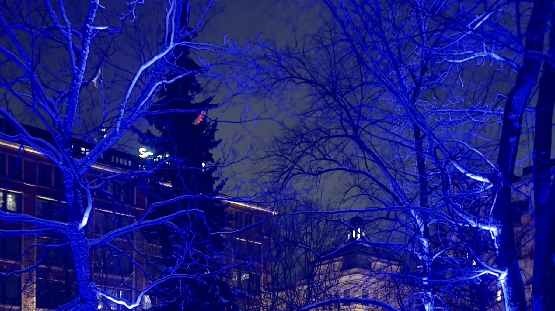 The Lux Helsinki light festival is well worth visiting!