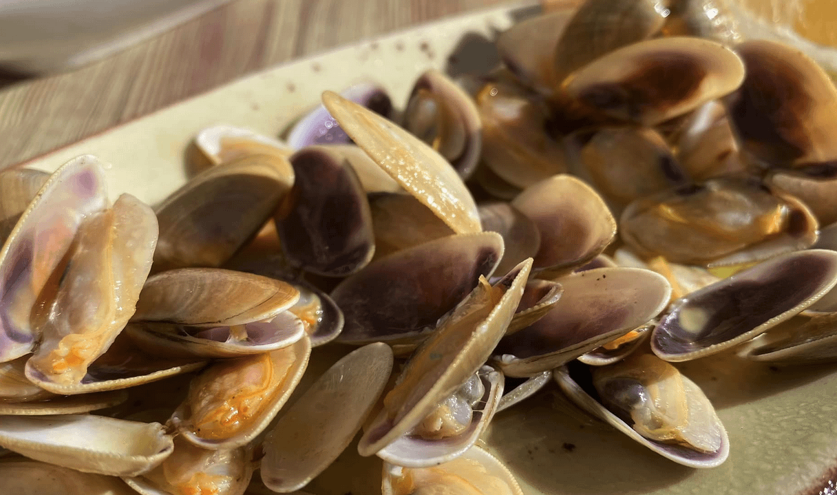 Tellinas in Cabanyal, Valencia