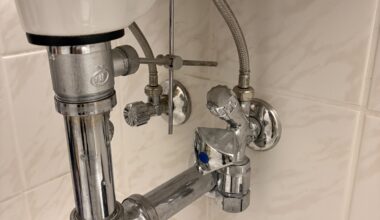 Handheld bidet from sink cold water valve?