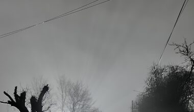 Night in January 2026.