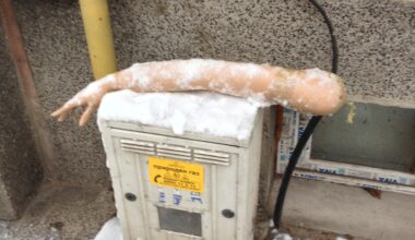 Направо се потрошихме по тези ледове , ей !