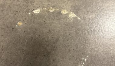 HELP:WGinGermany:FixingKitchenLaminate?