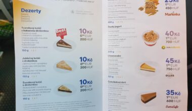 Egy cseh RegioJet vonattal utazok Bécsből Prágába, és ezek a fedélzeti ellátás árai
