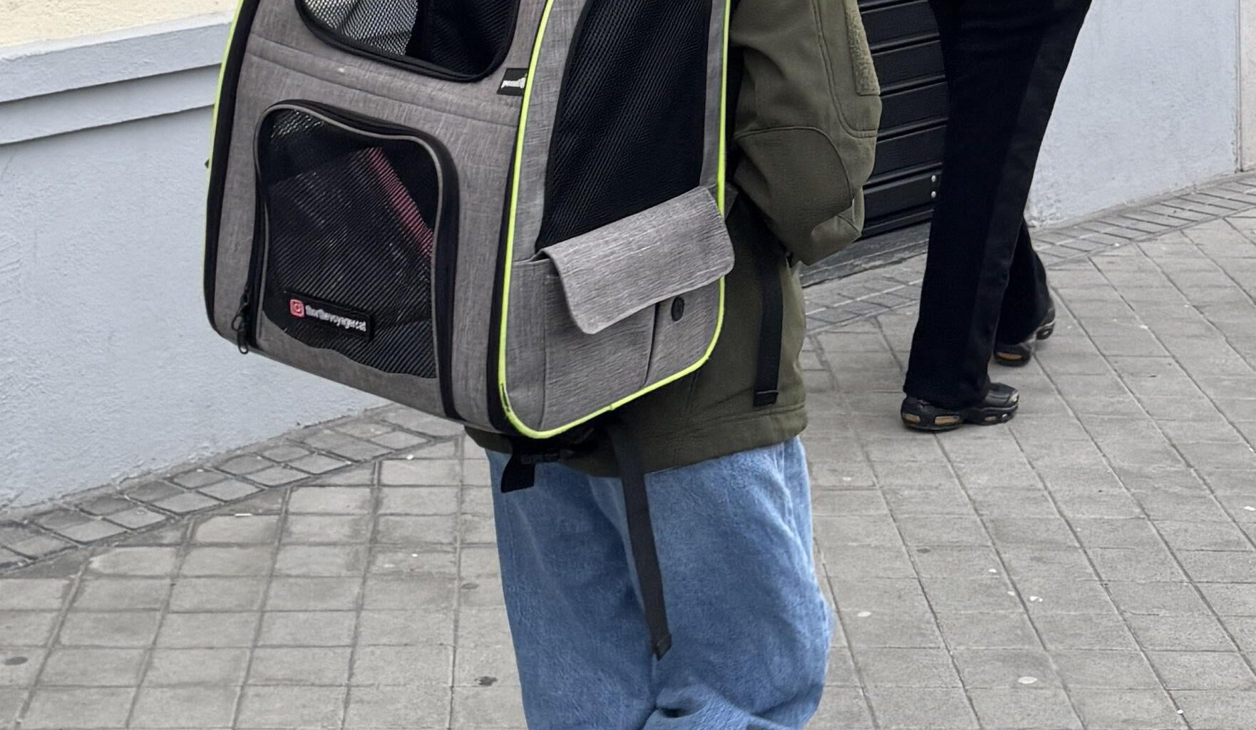 Un día normal en Madrid. El gato viaja cómodo y con vistas.