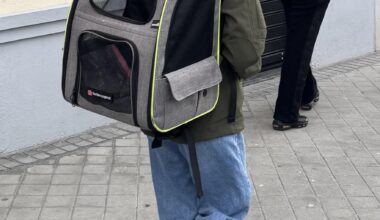 Un día normal en Madrid. El gato viaja cómodo y con vistas.