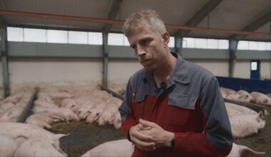 Her er de skjulte optagelser, svineformand ikke vil have frem [Ifølge eksperter er der forhold i svineproducent Jeppe Blochs stalde, der er i strid med reglerne. Det er Jeppe Bloch uenig i.]