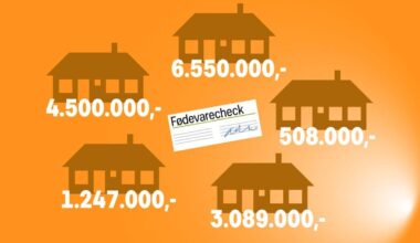 Erland ejer lejligheder for 16 millioner. Nu får han fødevarecheck, så han bedre har råd til mad