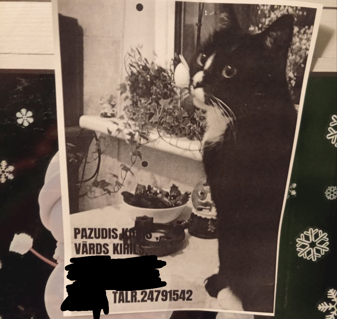 Pazudis kaķis Imantā!