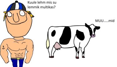 Eesti mees klubis naist lantimas.