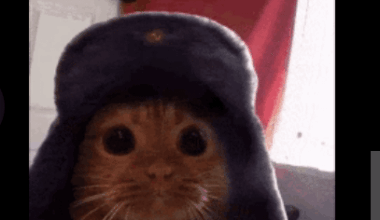 From where can i buy this hat and what it is called