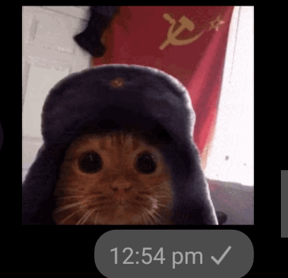 From where can i buy this hat and what it is called