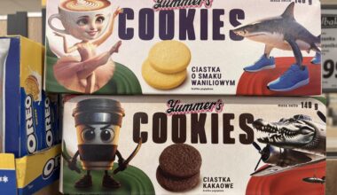 Ciastka o smaku dawno nieśmiesznego mema