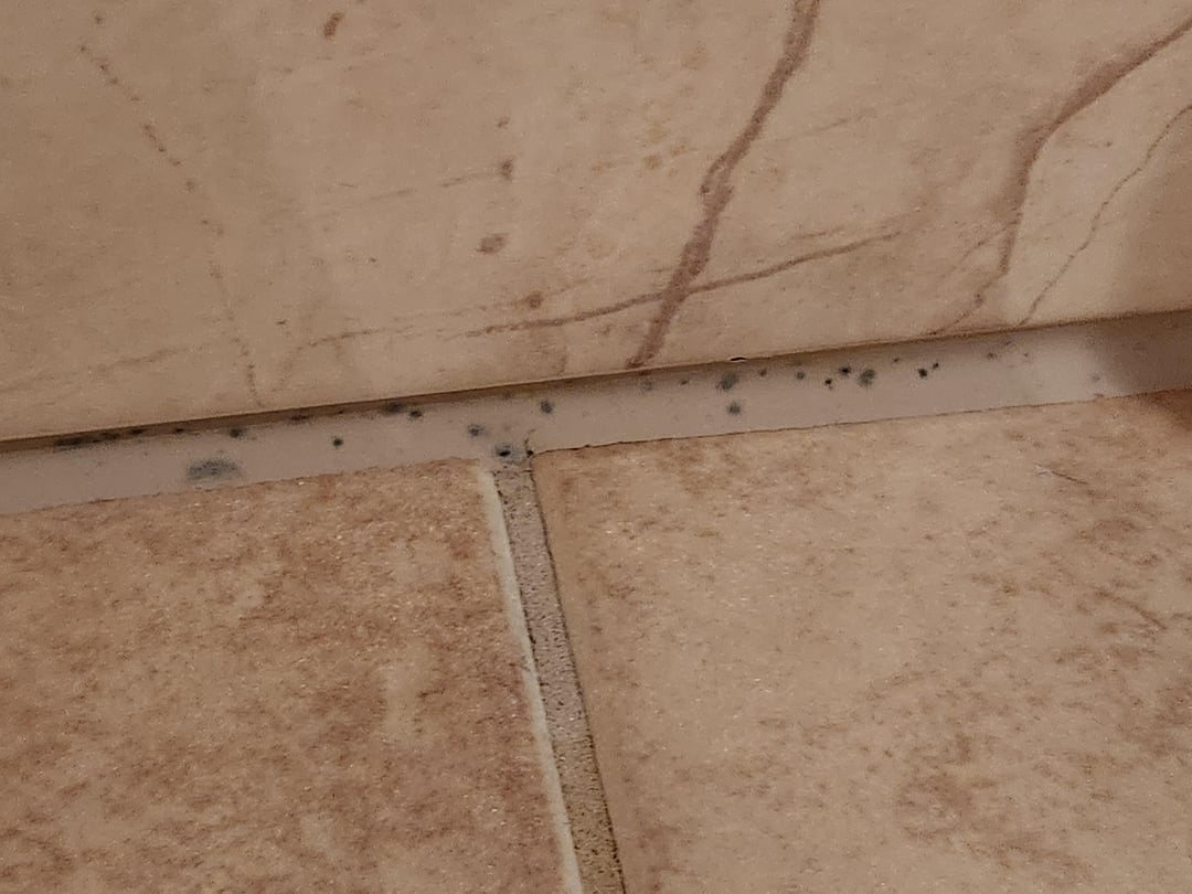 Mold in silicon sealer in the bathroom. What to use to kill and remove it?
