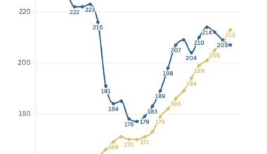 Gibanje števila zaposlenih