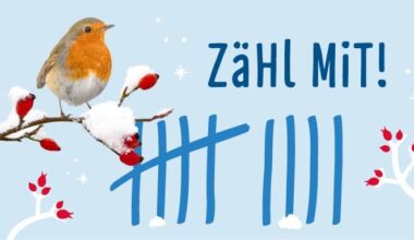 "Stunde Der Wintervögel" starts in Germany for anyone who wants to join