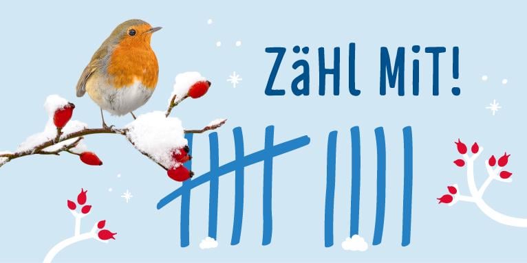 "Stunde Der Wintervögel" starts in Germany for anyone who wants to join