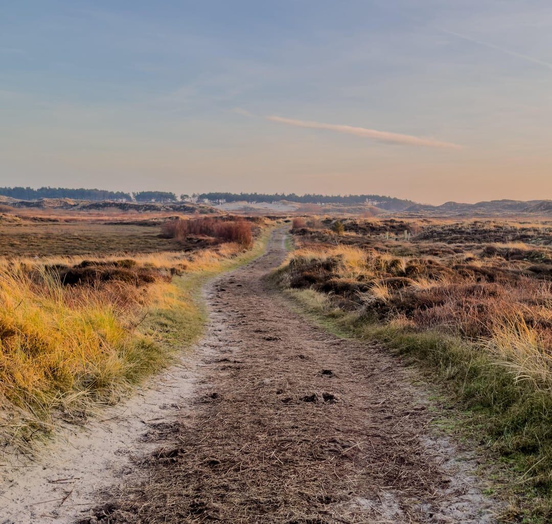 Terschelling is one of the best places in the Netherlands