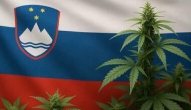 Je zgodba z legalizacijo trave dokončno potihnila?