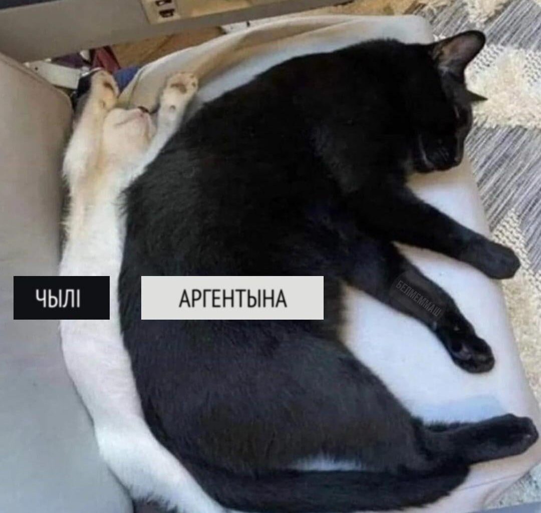 Смешняўкі па-беларуску