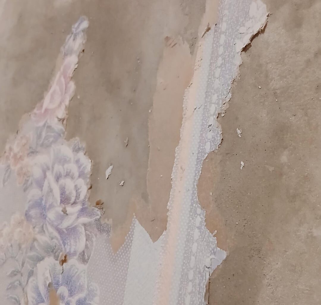 Nõutu tapeedieemaldus