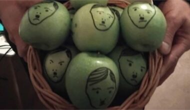 V-politiker försvarar hotfull aktion mot ministrar