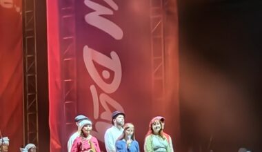 Fins at Bénin Vodun Days