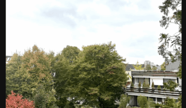 Need Advice: Apartment Choice in Germany (Loneliness a Factor)