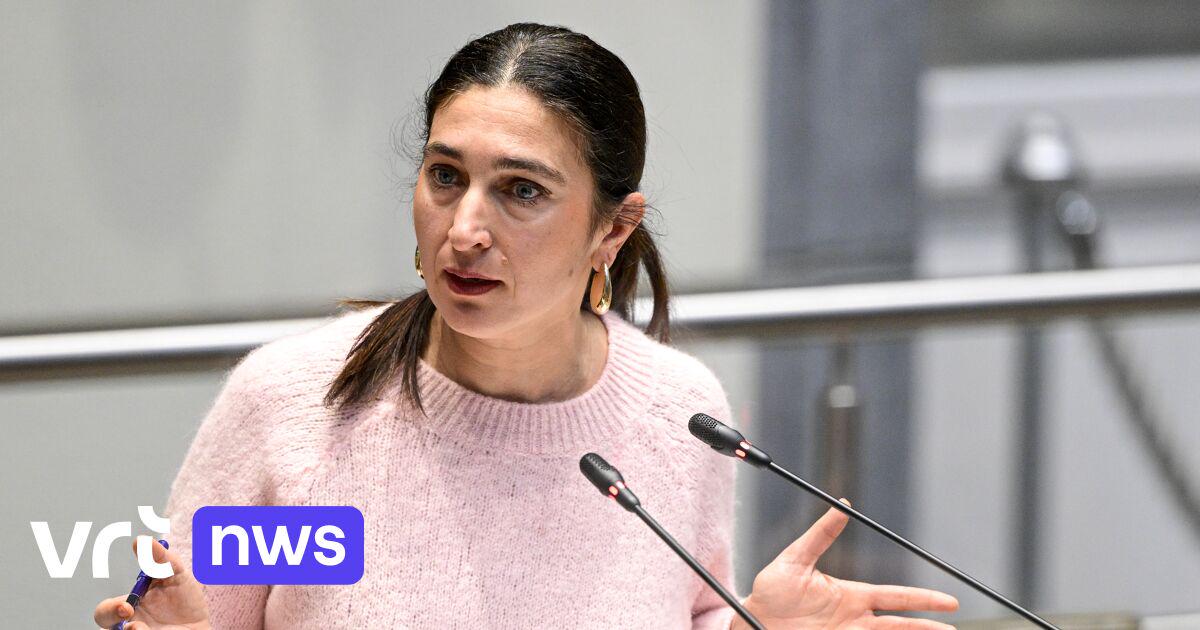 Nu ook Demir stekker eruit trekt: waarom mislukken IT-projecten bij overheid zo vaak? | VRT NWS: nieuws