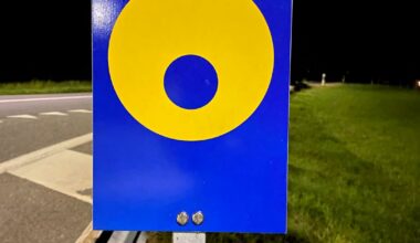 Does anyone know for what this sign could be?