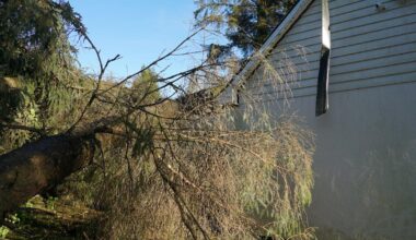 All households in Ireland to get emergency preparation booklet in coming weeks