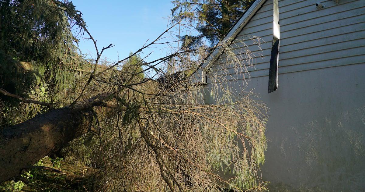 All households in Ireland to get emergency preparation booklet in coming weeks