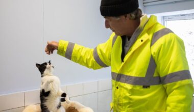 As temperatures outside plunge, a Ukrainian pet shelter struggles to keep animals warm amid Russian attacks