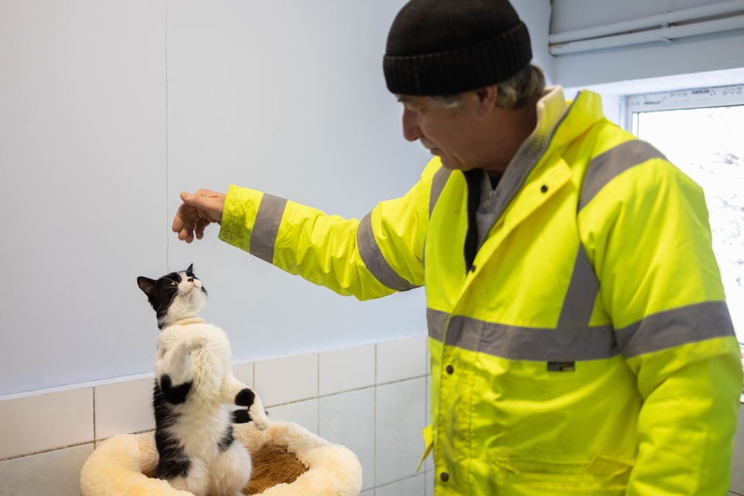 As temperatures outside plunge, a Ukrainian pet shelter struggles to keep animals warm amid Russian attacks
